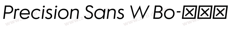 Precision Sans W Bo字体转换